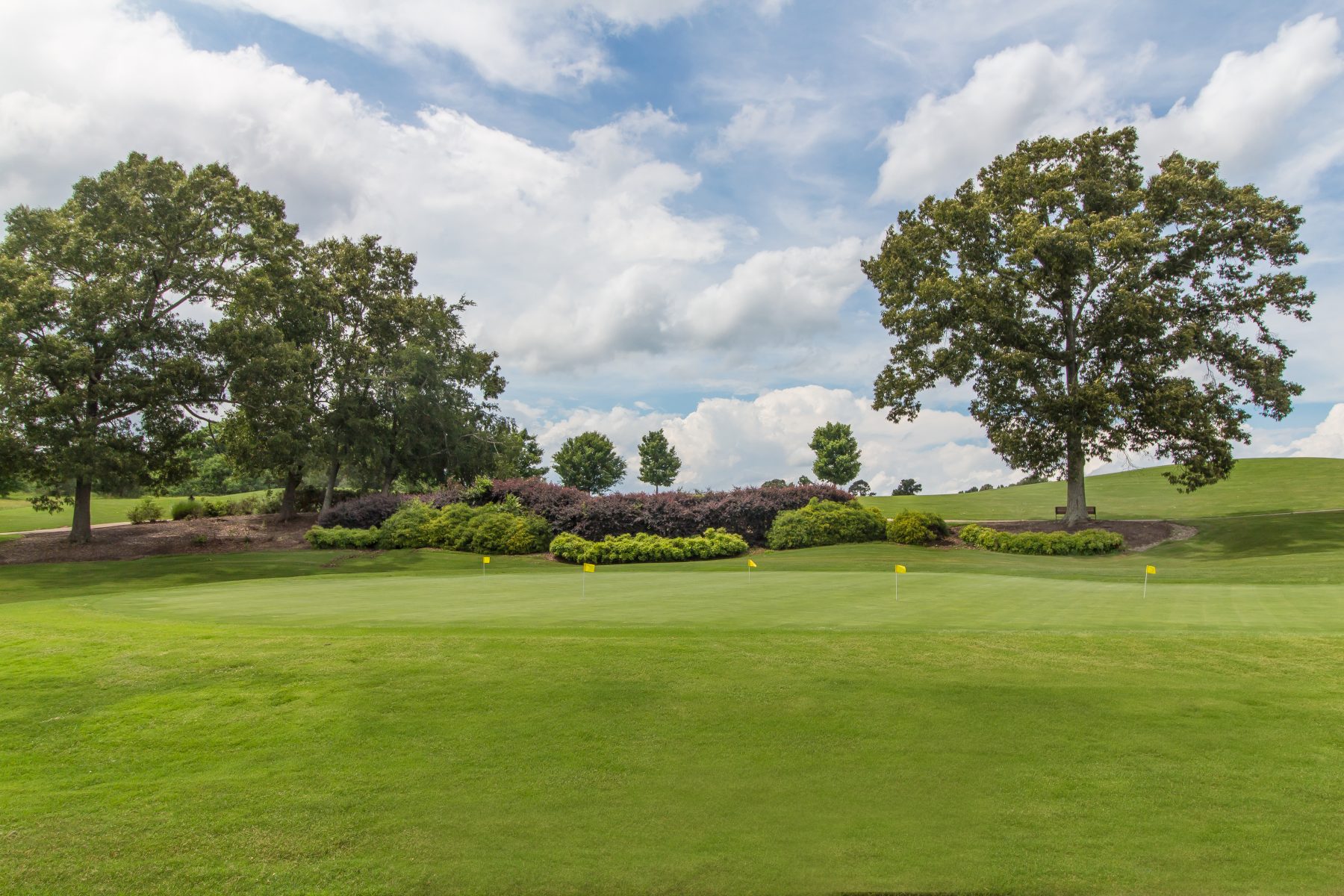 Traditions of Braselton Paran Homes Traditions of Braselton Paran Homes