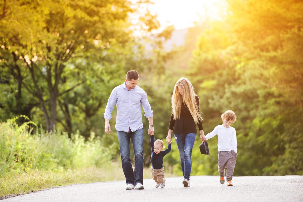 New Family Homes in East Paulding Near Lake Allatoona