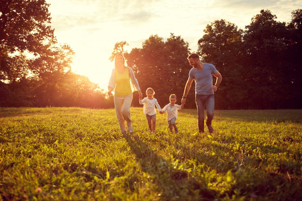 New Homes in West Cobb's Millwood Farms 