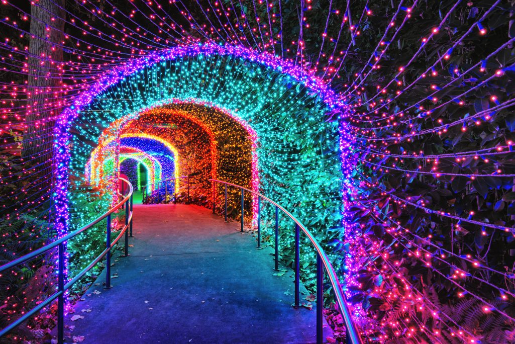 Colorful light tunnel like at the Atlanta Botanical Garden Rob Hainer © Shutterstock
