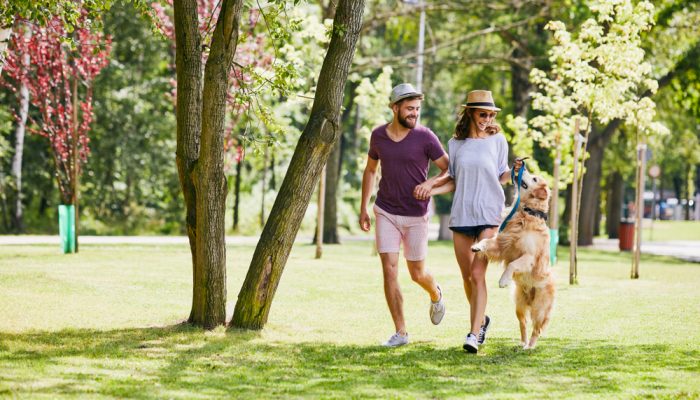 Family With Dog at the Park©baranq