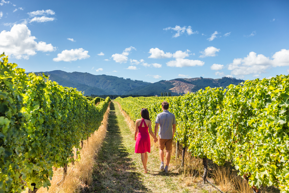 Visiting a winery©Maridav